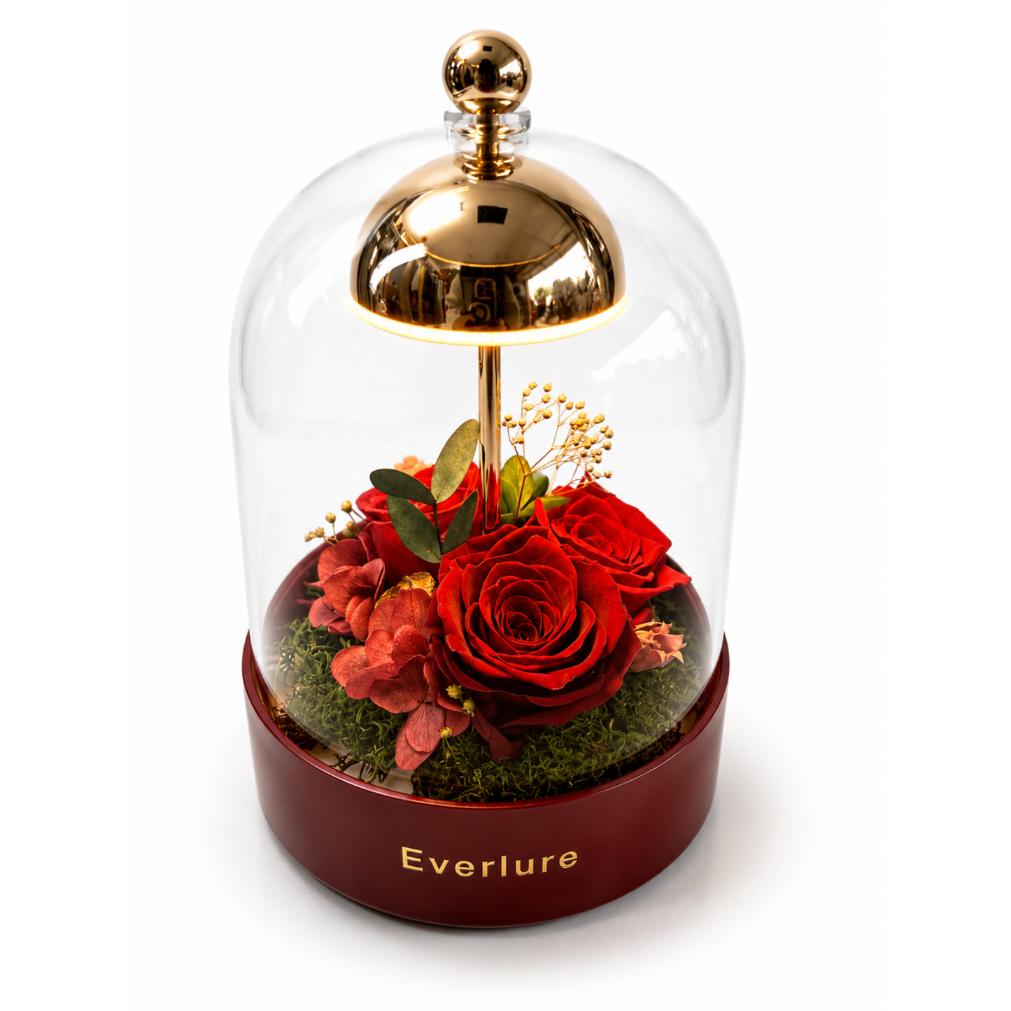 Everlure Preserved Rose Touch Lamp | USB Rechargeable LED Glass Dome