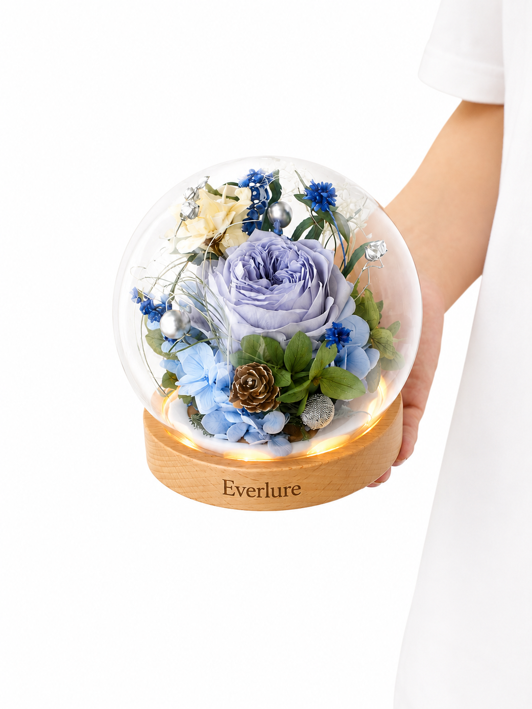Everlure Preserved Austin Rose Glass Globe with LED Light