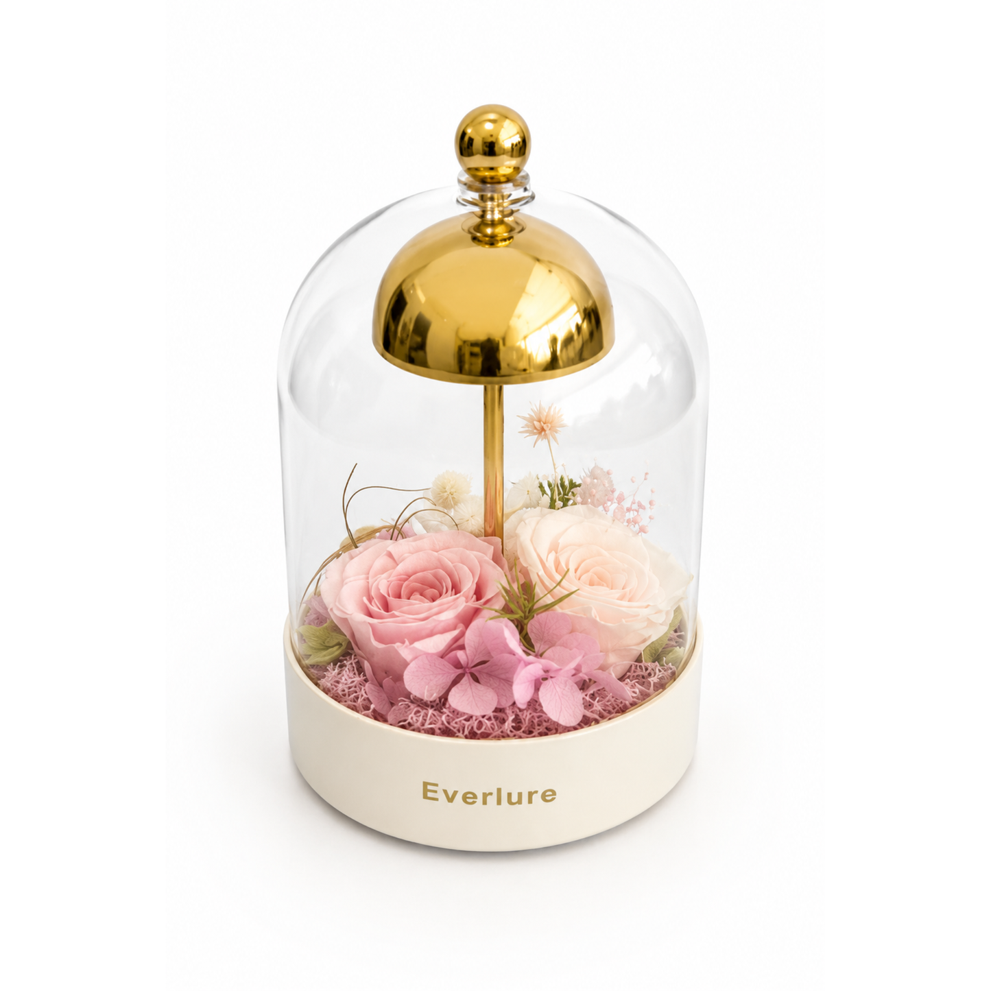 Everlure Preserved Rose Touch Lamp | USB Rechargeable LED Glass Dome