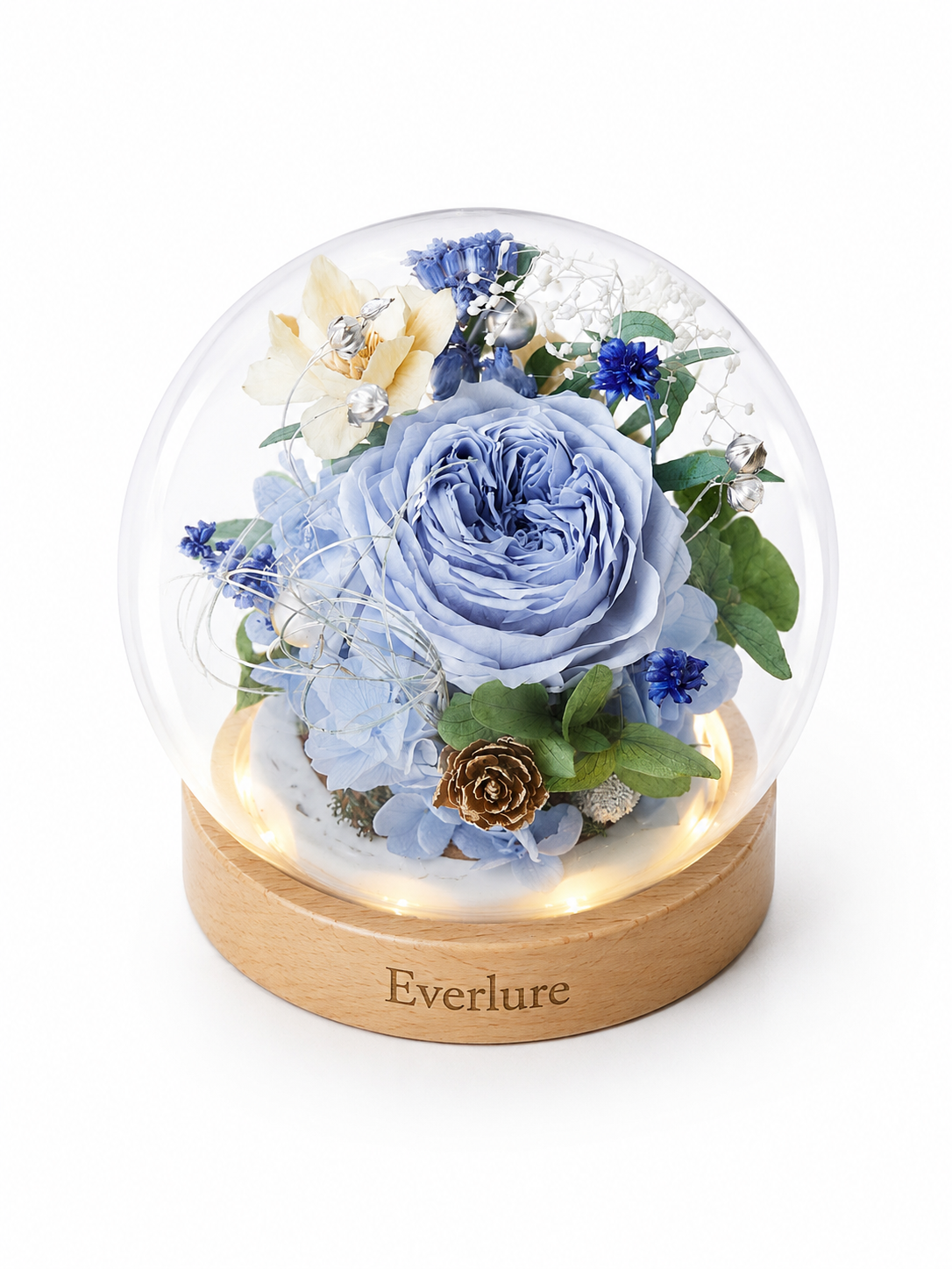Everlure Preserved Austin Rose Glass Globe with LED Light