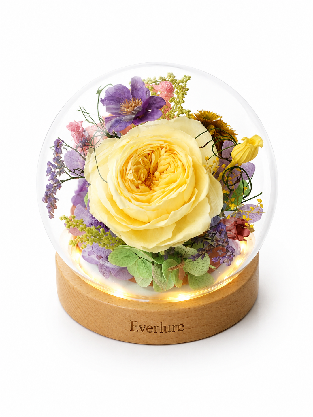 Everlure Preserved Austin Rose Glass Globe with LED Light