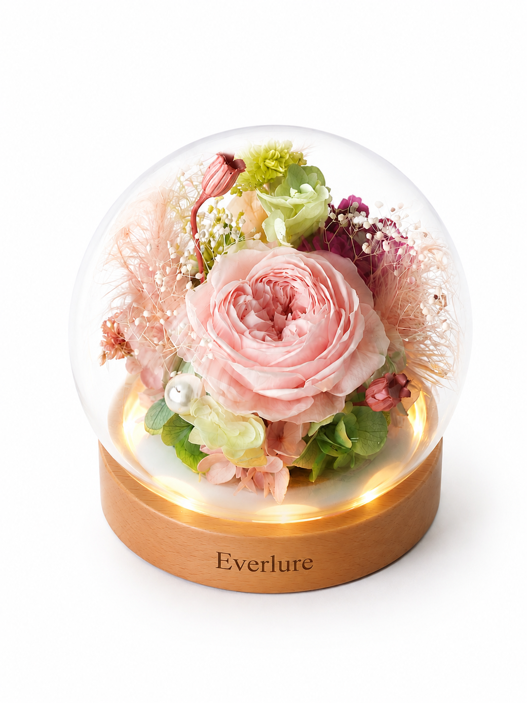 Everlure Preserved Austin Rose Glass Globe with LED Light
