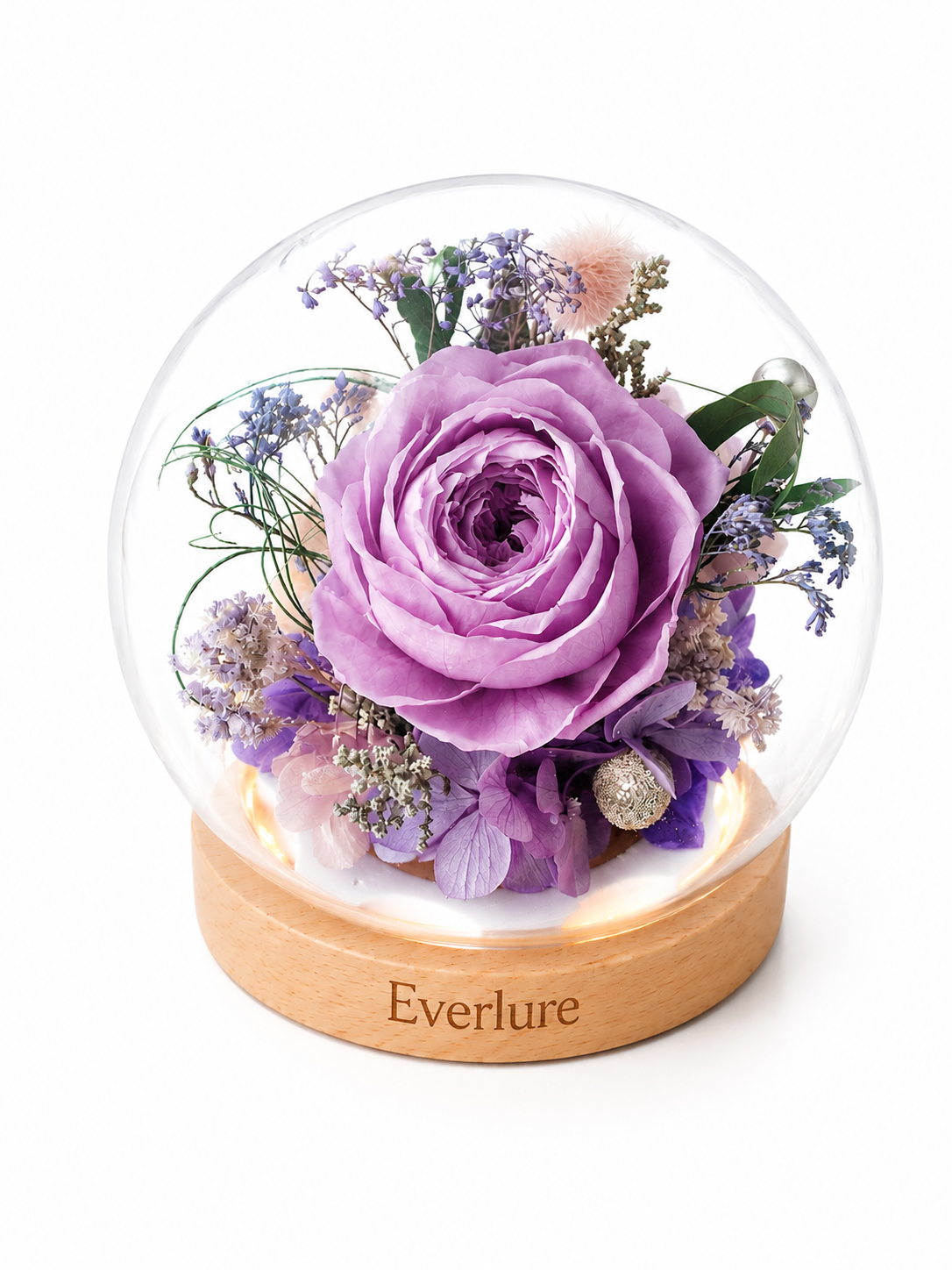 Everlure Preserved Austin Rose Glass Globe with LED Light
