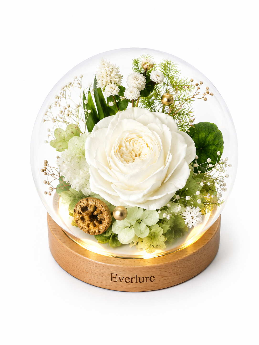 Everlure Preserved Austin Rose Glass Globe with LED Light