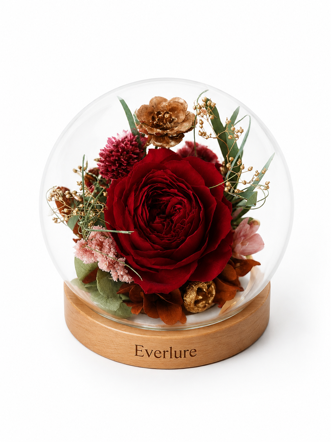 Everlure Preserved Austin Rose Glass Globe with LED Light